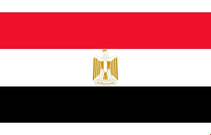 EGYPT VISA (Security Clearance)